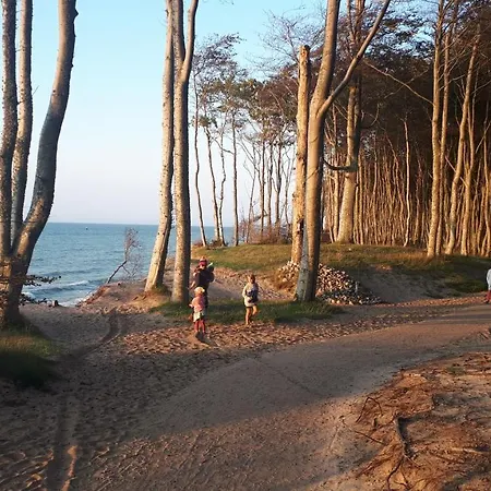Debowe * Debina (Ustka)